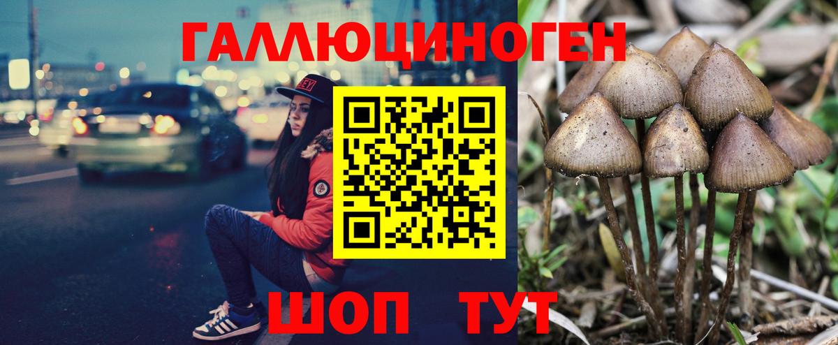 Старая Купавна  Галлюциногенные грибы ЛСД  Галлюциногенные грибы ЛСД  хочу   Вход с VPN 